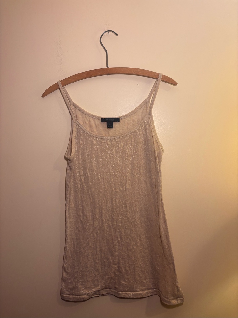 Vintage Express Paisley Sparkling Tank Top Cami